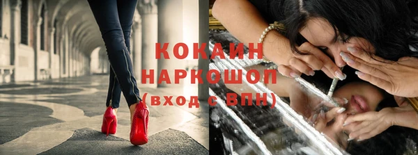 ПСИЛОЦИБИНОВЫЕ ГРИБЫ Горно-Алтайск