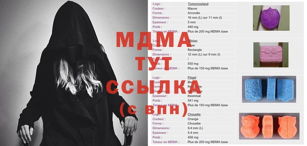 ПСИЛОЦИБИНОВЫЕ ГРИБЫ Горно-Алтайск