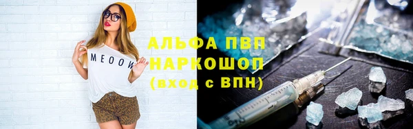 ПСИЛОЦИБИНОВЫЕ ГРИБЫ Горно-Алтайск