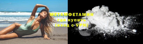 ПСИЛОЦИБИНОВЫЕ ГРИБЫ Горно-Алтайск