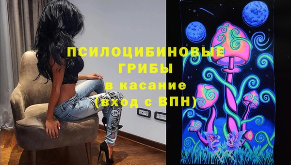 ПСИЛОЦИБИНОВЫЕ ГРИБЫ Горно-Алтайск