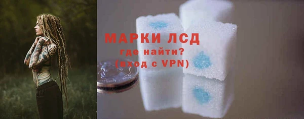 ПСИЛОЦИБИНОВЫЕ ГРИБЫ Горно-Алтайск