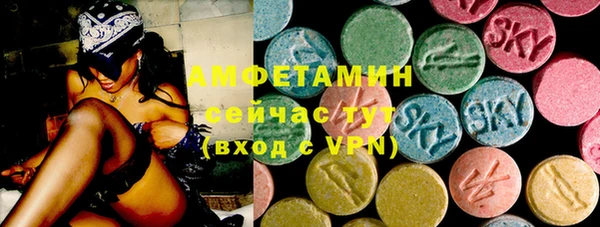 ПСИЛОЦИБИНОВЫЕ ГРИБЫ Горно-Алтайск