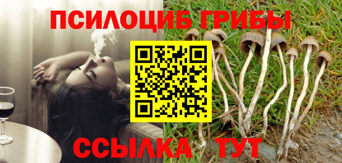 закладки  Галлюциногенные грибы Magic Shrooms  Каспийск  Псилоцибиновые грибы MAGIC MUSHROOMS 