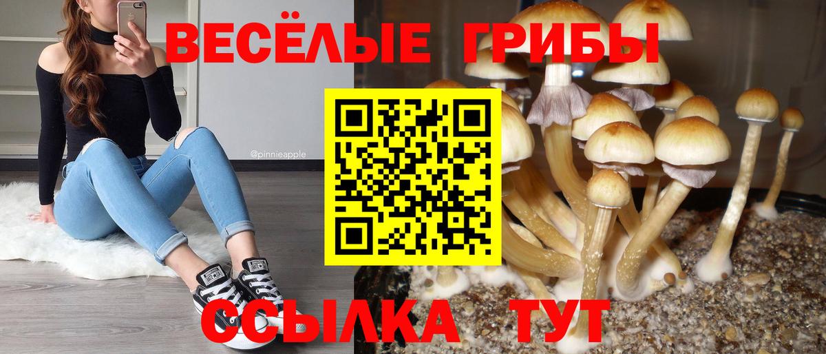 Псилоцибиновые грибы мицелий  Галлюциногенные грибы мицелий  Вход с VPN  Каспийск 