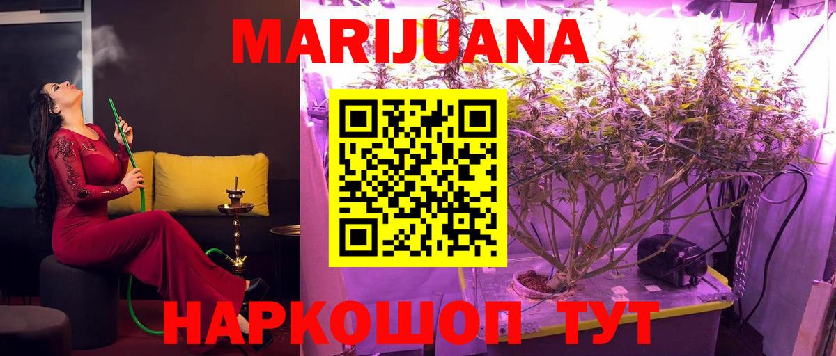 Конопля планчик Каспийск